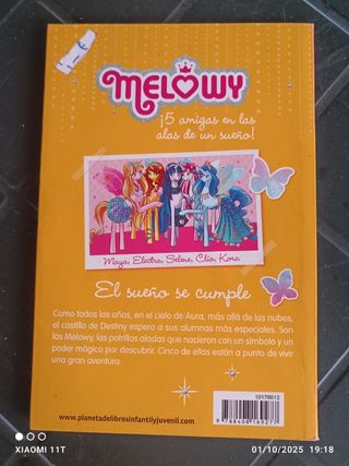 Lote 2 libros Melowy 