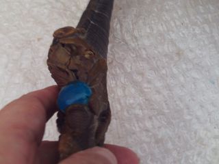 Totem artesanal cuerpo cabra Santería