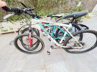 3 Bicicletas MTB.GT Avalanche por falta de uso. Bu