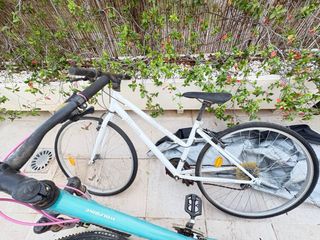 3 Bicicletas MTB.GT Avalanche por falta de uso. Bu