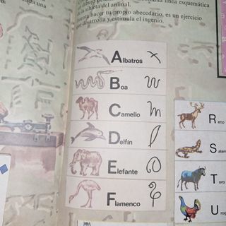 album el libro de las adivinanzas