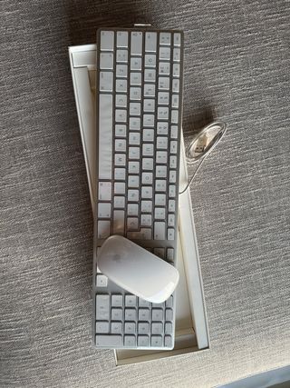 Teclado Apple y Magic Mouse