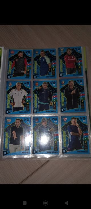 Cromos Adrenalyn 24-25