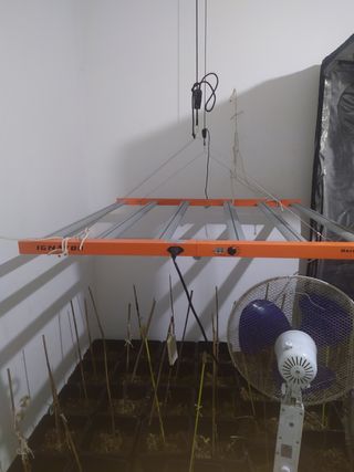 Luz LED para cultivo interior
