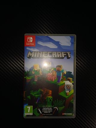 Minecraft Nintendo Switch