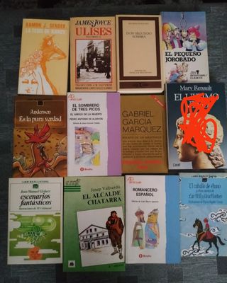 Libros de lectura en perfecto estado