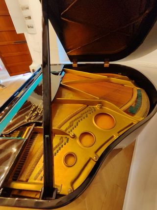 Piano de cola Tchaika