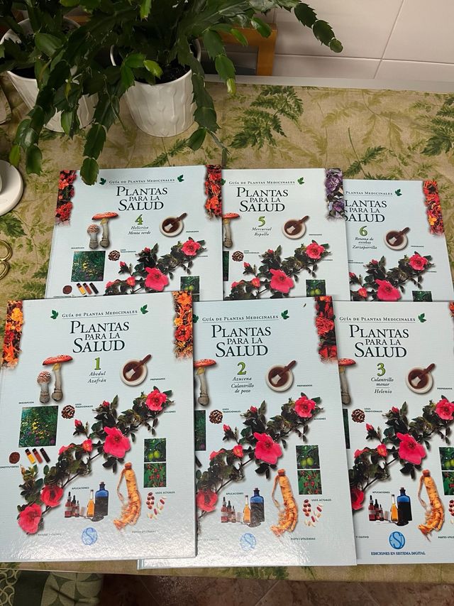 Plantas para la salud (Spanish Edition)