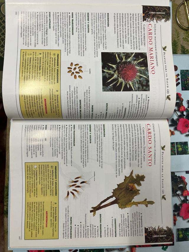 Plantas para la salud (Spanish Edition)