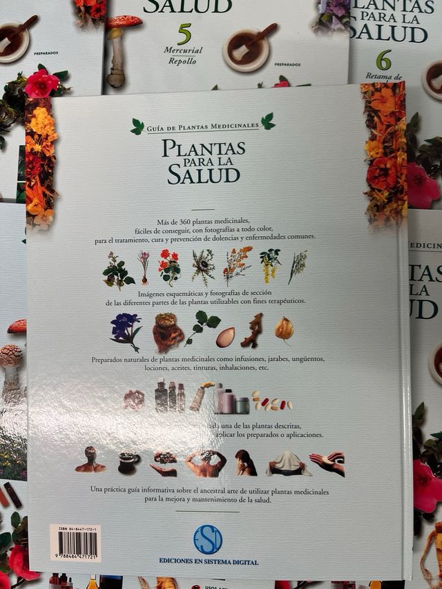 Plantas para la salud (Spanish Edition)