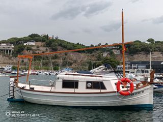Llaut Tiburón 37
