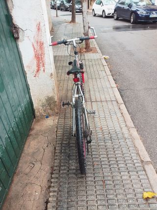 Bicicleta de montaña Carelton