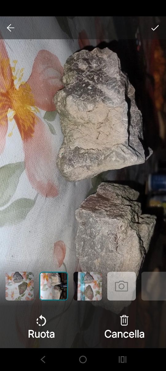 Sassi decorativi per acquario 