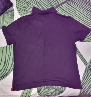 Polo Tommy Hilfiger Morado Talla L