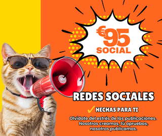 Gestión de Redes Sociales desde 95 €