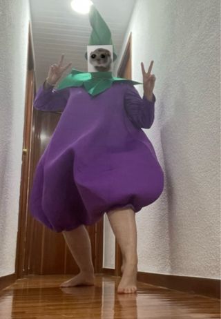 Disfraz Berenjena Adulto Talla Ajustable Halloween