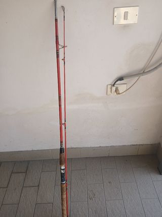 Canna da pesca vintage 2.50 metri