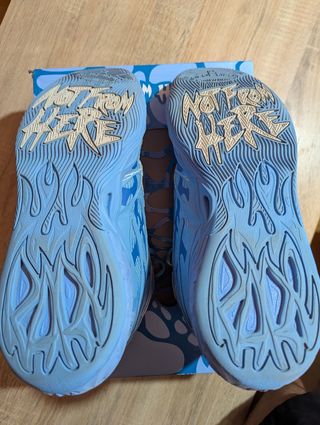Zapatillas M.B LaFrance