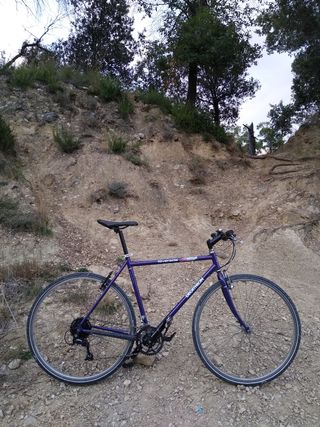 Bicicleta Gravel talla L