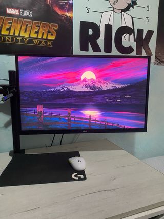 Monitor LG 4K Negro