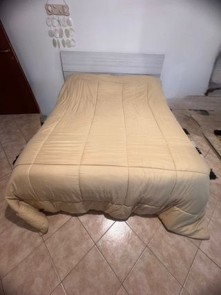 Piumone matrimoniale beige