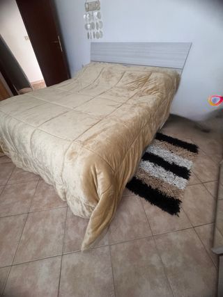 Piumone matrimoniale beige