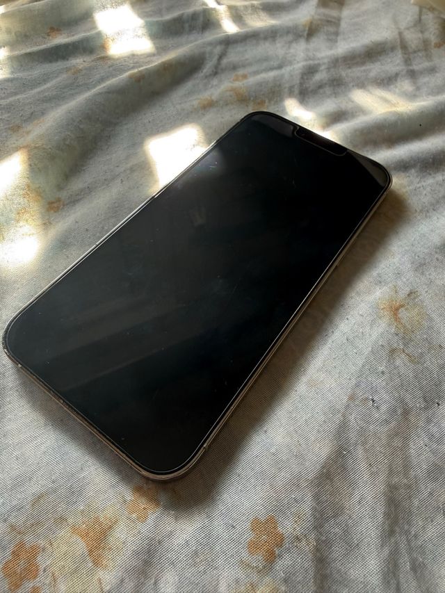 iPhone 13 Pro Max 512 GB Plata