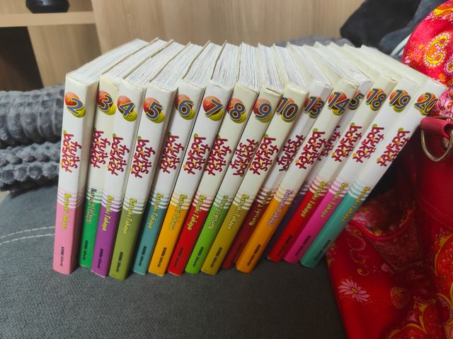 FRUITS BASKET  (Spanish Edition)