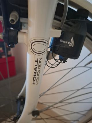 Bicicleta Cambridge Capena 520