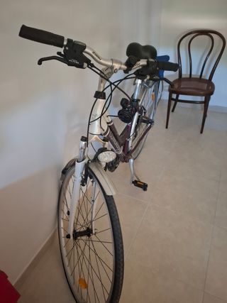 Bicicleta Cambridge Capena 520