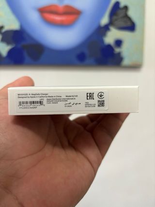 Caricatore MagSafe Apple 1m