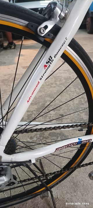 Bicicletta Torpado KCS Arwin