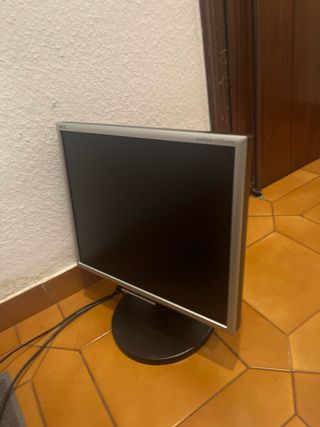 Monitor NEC MultiSync LCD