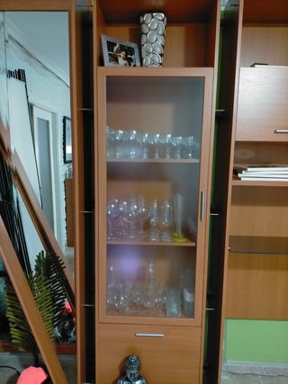 Vitrina de madera y cristal