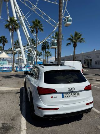 Audi SQ5 2016