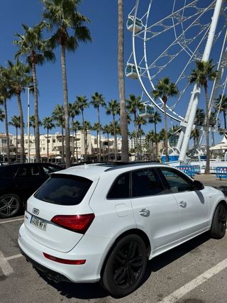 Audi SQ5 2016