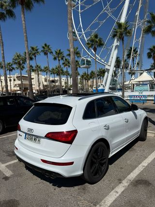 Audi SQ5 2016