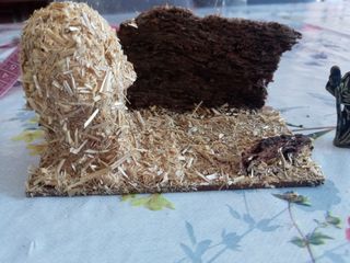 Navidad. Nacimiento/pesebre