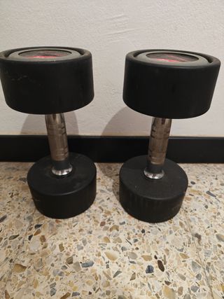 Juego de 2 pesas Life Fitness 10 kg