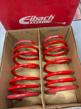 Muelles Eibach Rojos Saxo/106