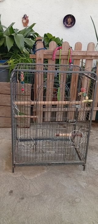 Jaula para loro grande