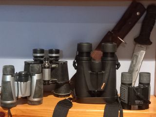 Prismáticos Nikon Sporter I 8x36 