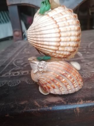 peça decorativa artesanal , em conchas