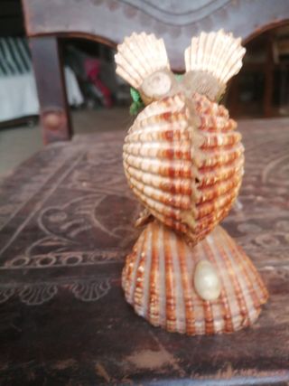 peça decorativa artesanal , em conchas