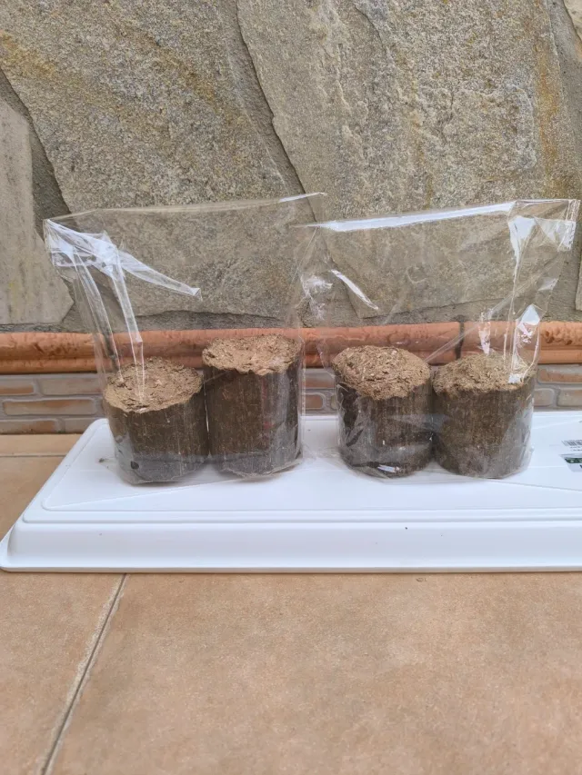 Confezione di briquette ecologiche (2)