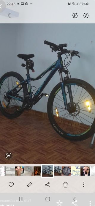 Bicicleta Liv Talla S