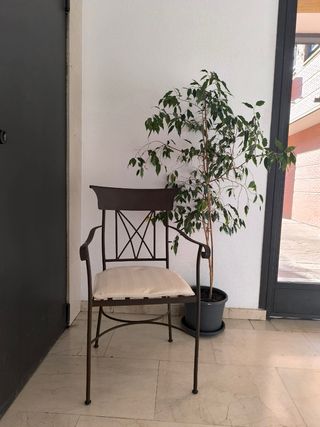 Silla de hierro forjado con cojín beige.
