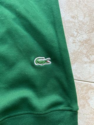 Sudadera Lacoste Verde 