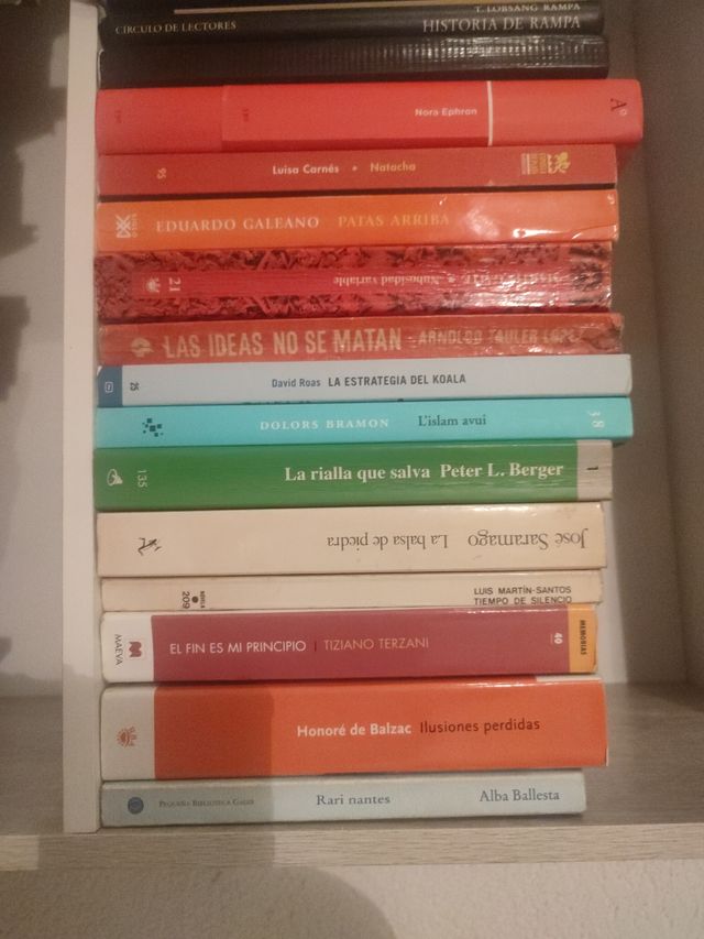 Lote de libros variados