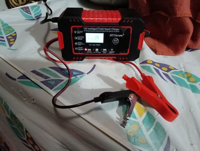 Cargador Inteligente RJ Tianye 12V